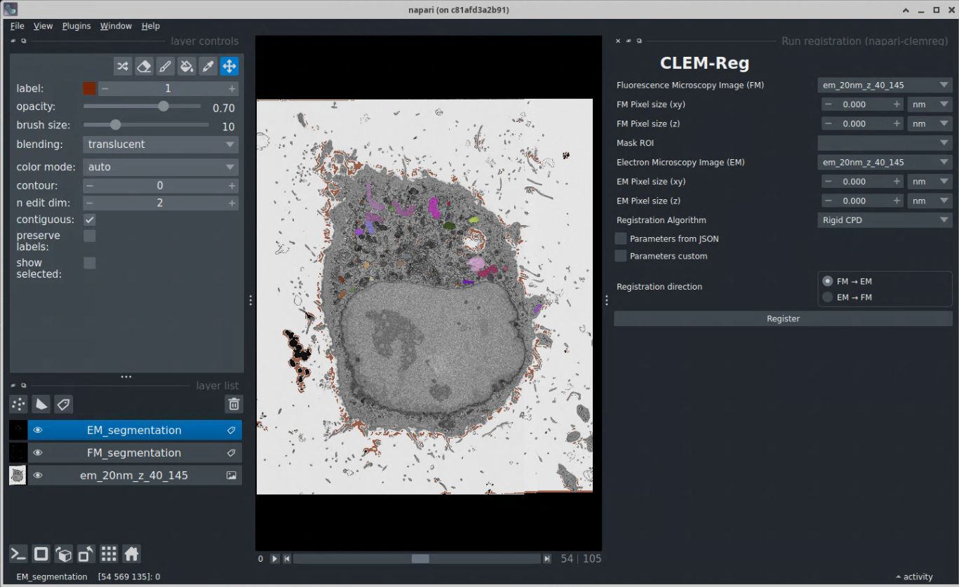 CLEM-Reg Example Registration